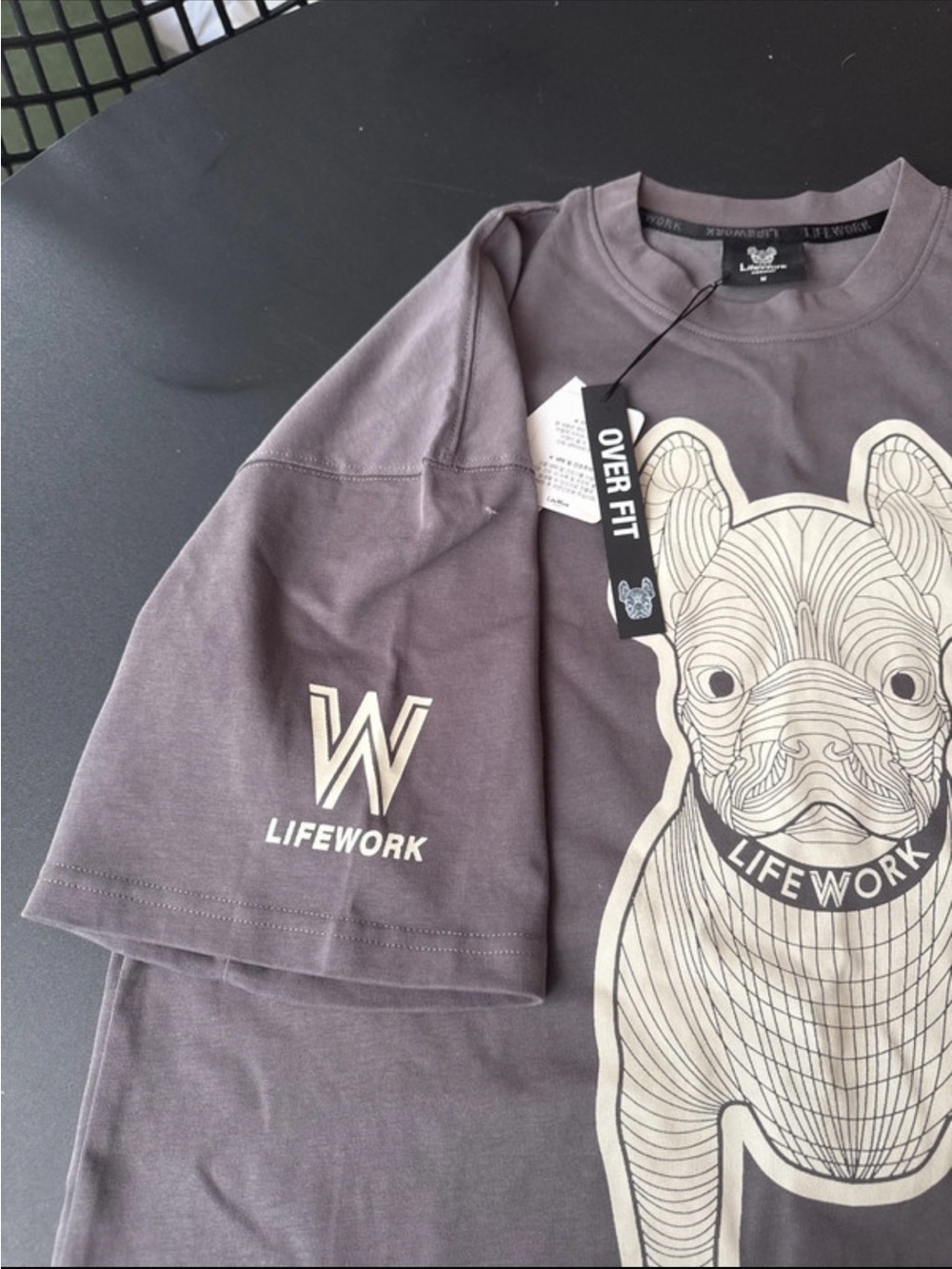 Overfit Short Sleeve Tee in gray with Graphic